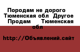 Породам не дорого - Тюменская обл. Другое » Продам   . Тюменская обл.